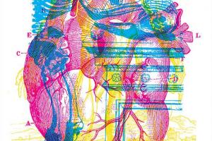 Unleashing the Spectrum: The Art and Science of Four-Color Process Screen Printing