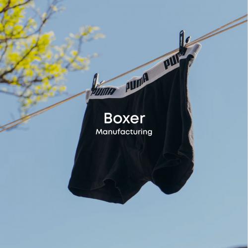 Sản Xuất Boxer