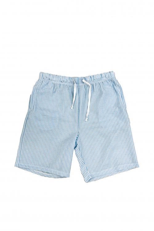 Kate silk fabric Shorts SS0019