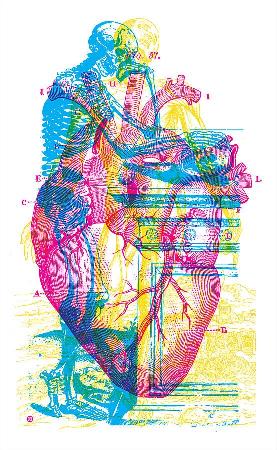 Unleashing the Spectrum: The Art and Science of Four-Color Process ...