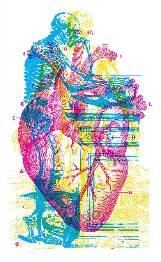 Unleashing the Spectrum: The Art and Science of Four-Color Process Screen Printing